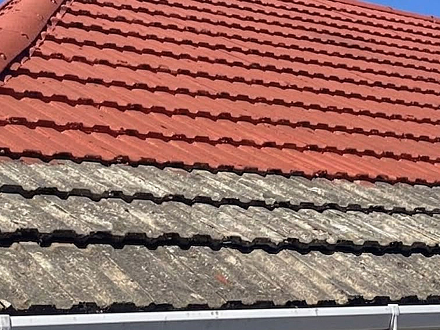 Roof Coating before treatment, Raw Power Exterior Cleaning